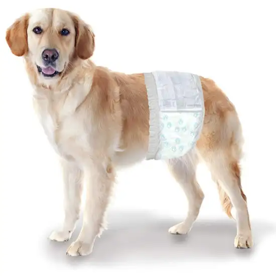 Four Paws Wee Wee Disposable Male Dog Wraps Medium/Large Photo 5