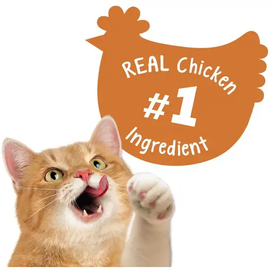 Friskies Party Mix Crunch Treats Chicken Lovers Photo 4