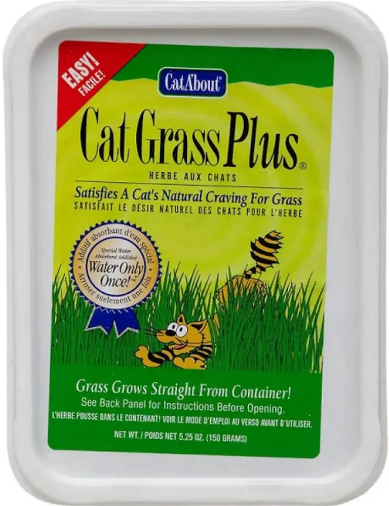 Gimborn Cat-A'bout Cat Grass Plus Multi-Cat Photo 1