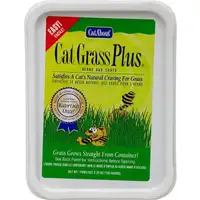 Photo of Gimborn Cat-A'bout Cat Grass Plus Multi-Cat