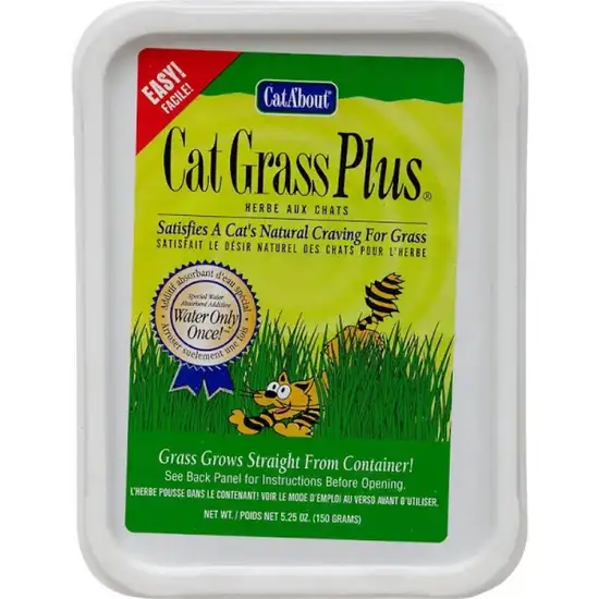 Gimborn CatA'bout Cat Grass Plus Multi-Cat Photo 1