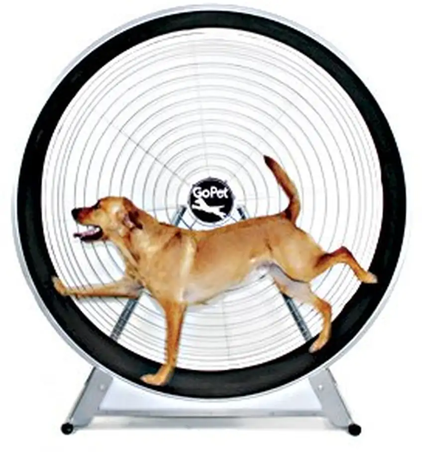 GoPet TreadWheel For Large Dogs Photo 1