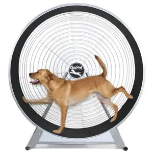 Photo of GoPet TreadWheel For Large Dogs