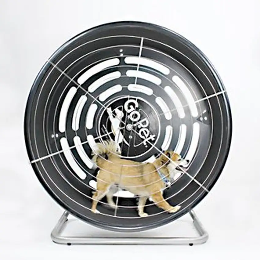 GoPet TreadWheel For Small Dogs Photo 1