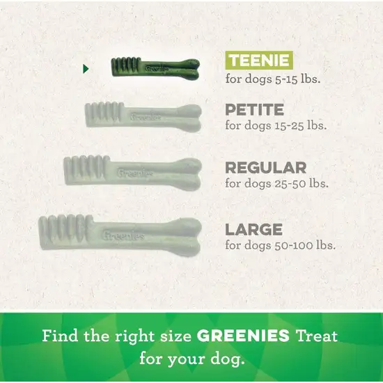 Greenies Original Dental Dog Chews Photo 3