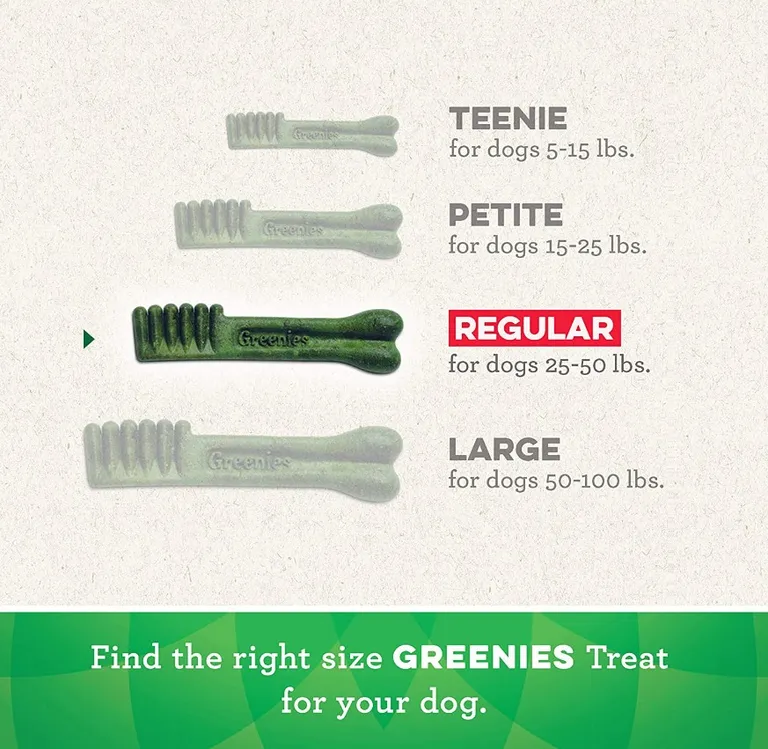 Greenies Regular Dental Dog Treats Photo 3