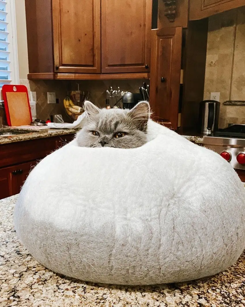 Grey and White Cat Cave Bed Photo 6