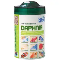 Photo of Hikari Daphnia - Freeze Dried