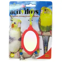 Photo of JW Insight Fancy Mirror Bird Toy - Assorted