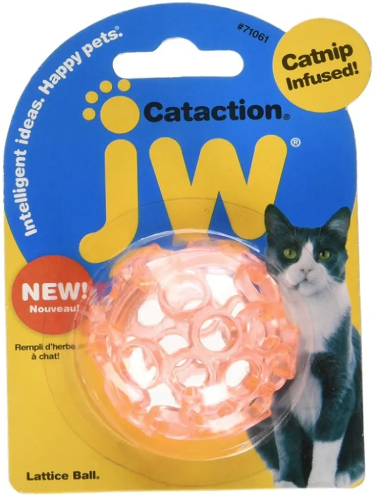 JW Pet Cataction Catnip Infused Lattice Ball Cat Toy Photo 1