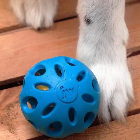 JW Pet Crackle Heads Rubber Ball Dog Toy Medium Photo 6