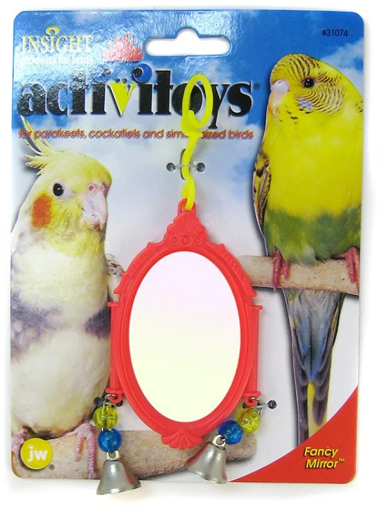 JW Pet Insight Fancy Mirror Bird Toy Photo 1