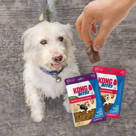 KONG Bites Beef Flavor Treats for Dogs Photo 3