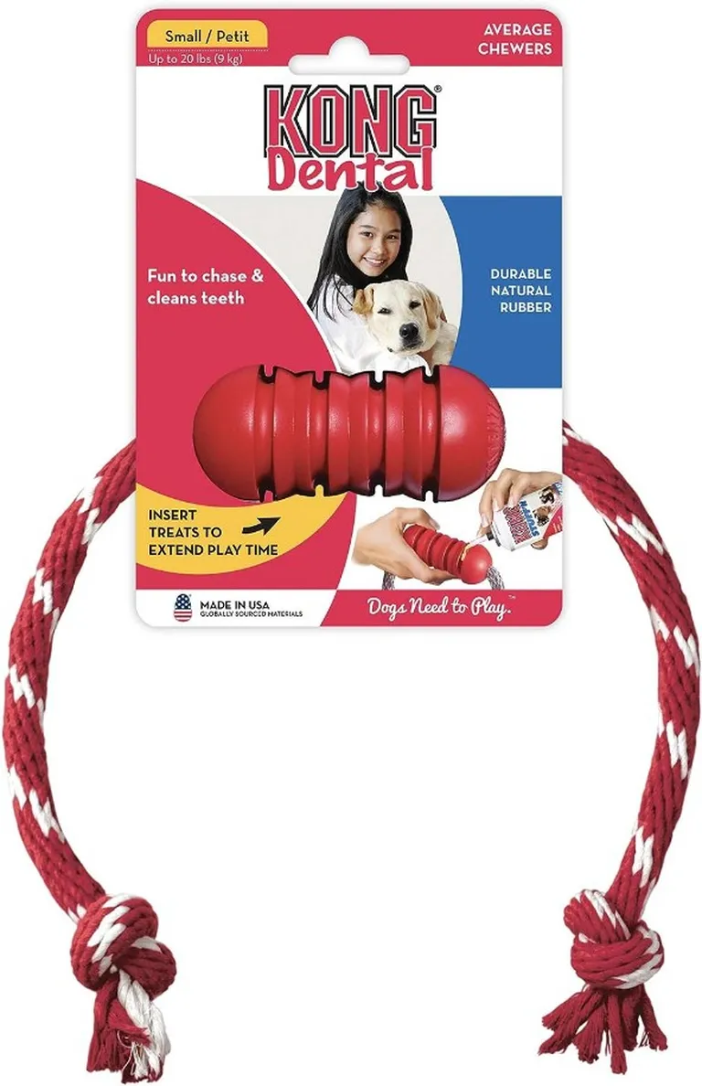 KONG Dental With Floss Rope Chew Toy Small Photo 1