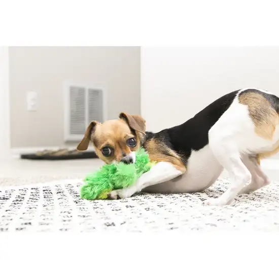 KONG Dr Noys Plush Frog Squeaker Dog Toy Photo 3