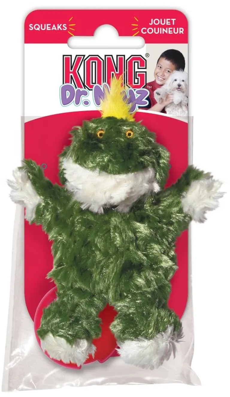 KONG Dr Noys Plush Frog Squeaker Dog Toy Photo 1