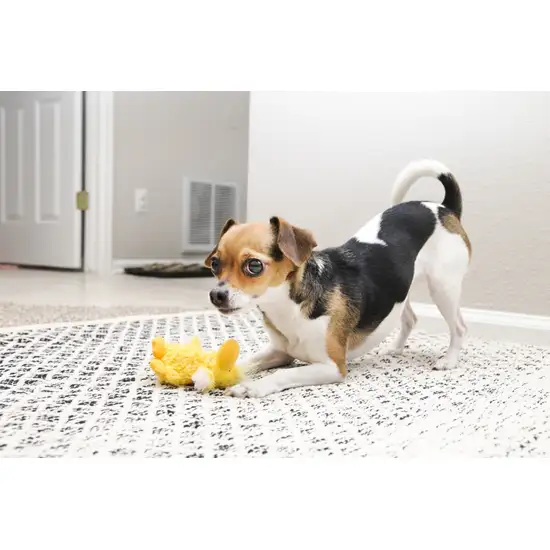 KONG Dr. Noyz Duck Plush Squeaker Dog Toy Photo 3