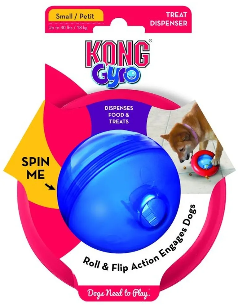 KONG Gyro Dog Toy Assorted Colors Photo 1