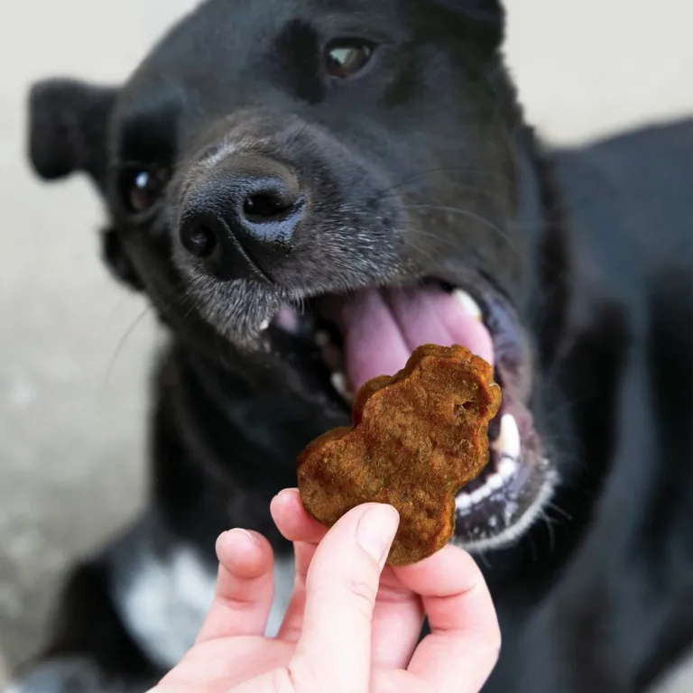 KONG Jerky Beef Flavor Treats for Dogs Small / Medium Photo 2