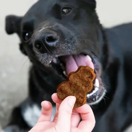 KONG Jerky Beef Flavor Treats for Dogs Small / Medium Photo 3