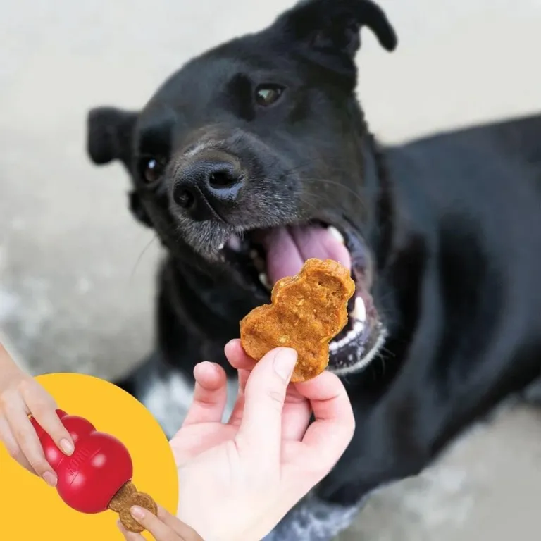 KONG Jerky Chicken Flavor Treats for Dogs Small / Medium Photo 2