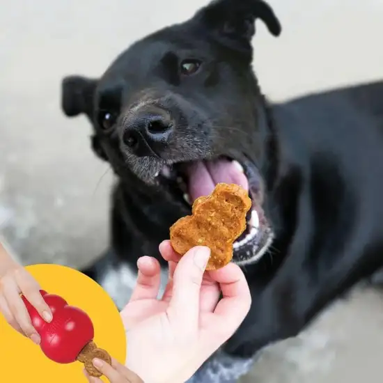 KONG Jerky Chicken Flavor Treats for Dogs Small / Medium Photo 3
