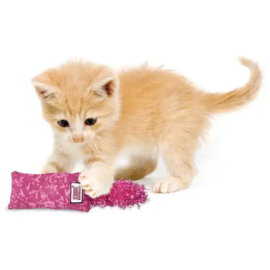 KONG Kickeroo Catnip Toy for Kittens Photo 4