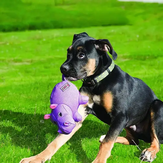 KONG Phatz Pig Squeaker Dog Toy Medium Photo 3