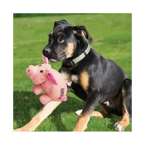 KONG Phatz Pig Squeaker Dog Toy Photo 3
