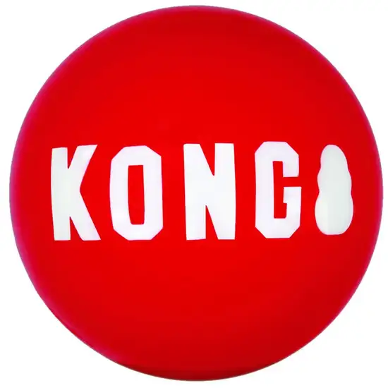 KONG Signature Ball Dog Toy Large Photo 2