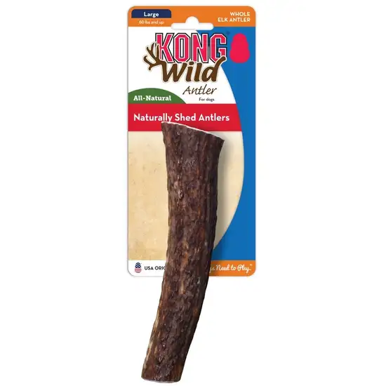KONG Wild Whole Elk Antler for Dogs Large Photo 1