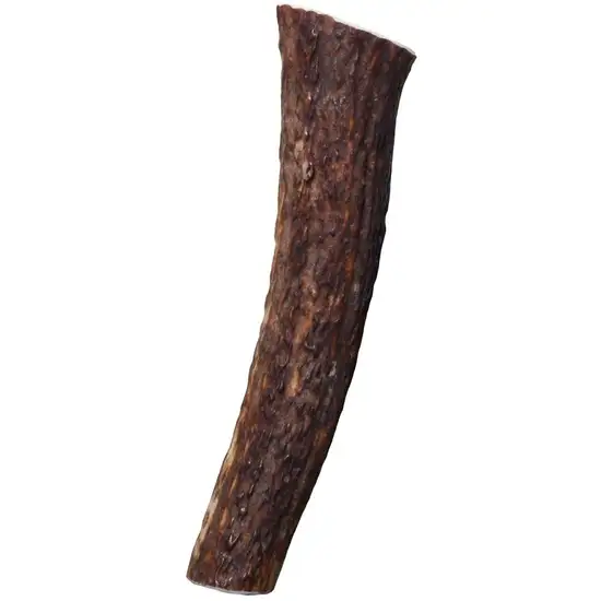 KONG Wild Whole Elk Antler for Dogs Large Photo 2