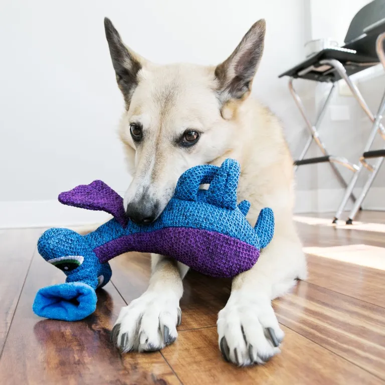 KONG Woozles Squeaking Dog Toy Medium Blue Photo 3