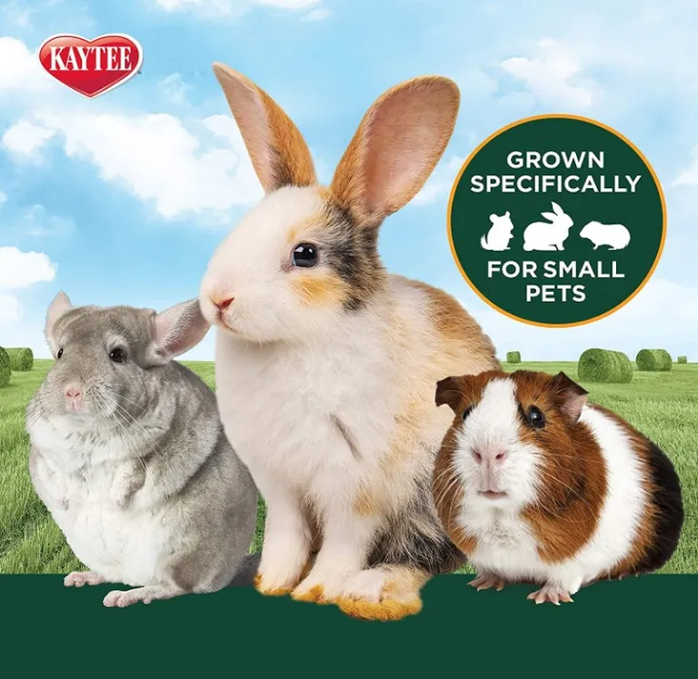 Kaytee All Natural Alfalfa Hay for Rabbits, Guinea Pigs and Small Animals Photo 3