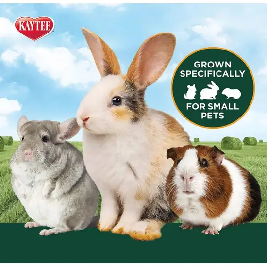 Kaytee All Natural Alfalfa Hay for Rabbits, Guinea Pigs and Small Animals Photo 3