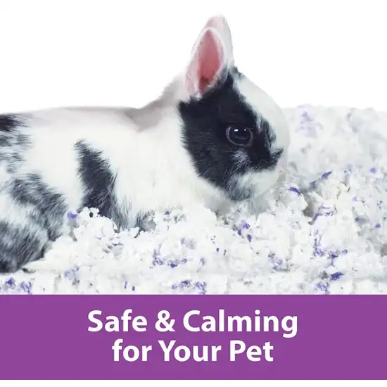 Kaytee Clean and Cozy Small Pet Bedding Lavender Scented Photo 4