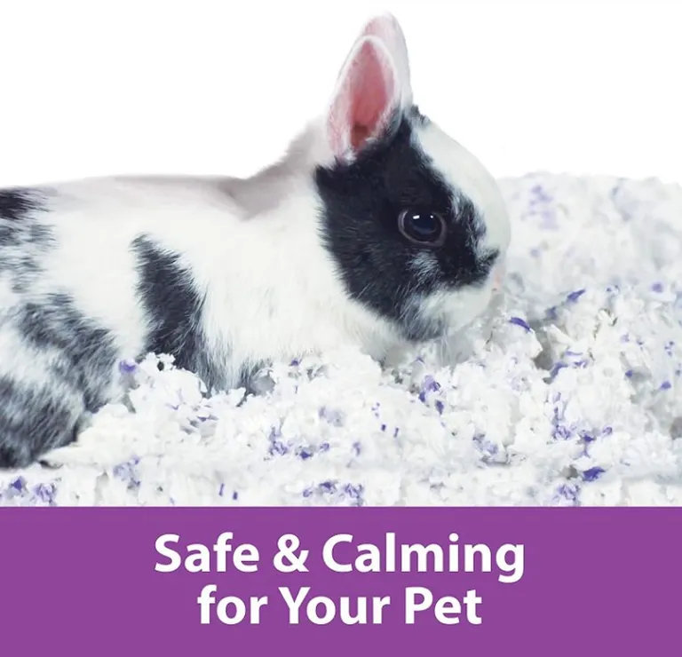 Kaytee Clean and Cozy Small Pet Bedding Lavender Scented Photo 1