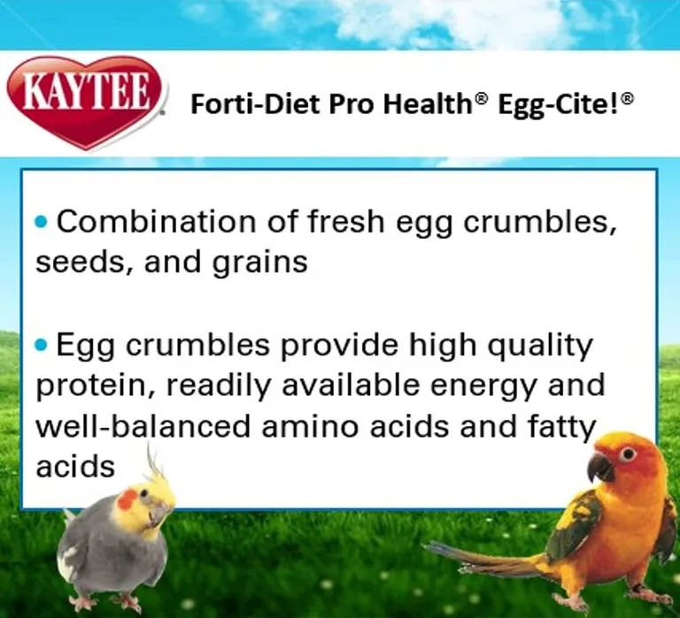 Kaytee Forti Diet Pro Health Egg-Cite! Healthy Support Diet Parakeet Photo 4