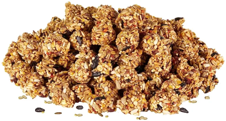 Kaytee Granola Bites with Super Foods Cranberry, Apple and Flax Photo 3