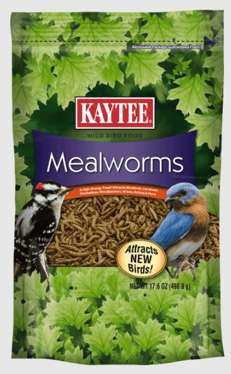 Kaytee Mealworms Bird Food Photo 1