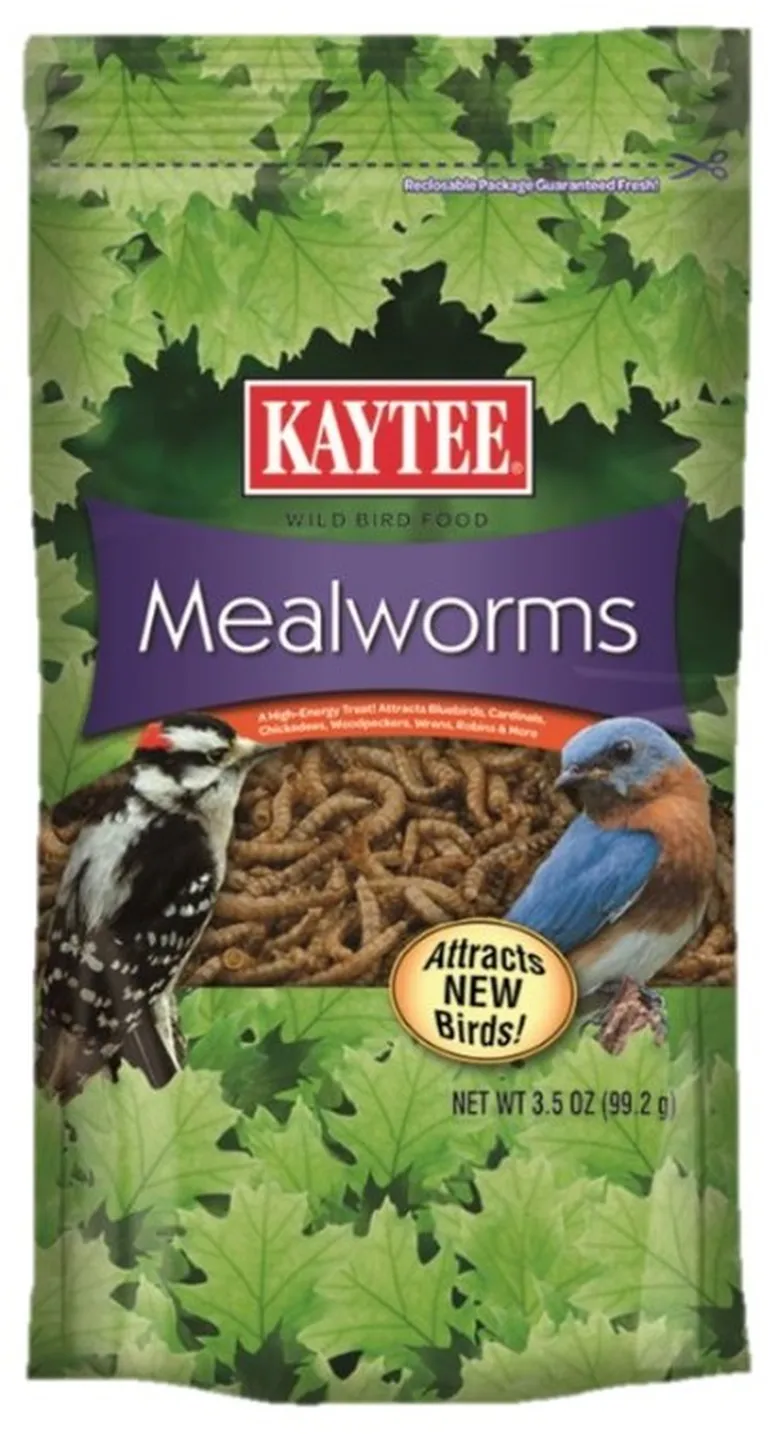 Kaytee Mealworms Wild Bird Food Photo 1