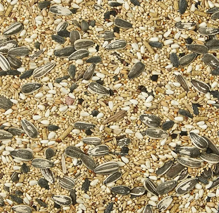 Kaytee Supreme Cockatiel Food Natural Grains and Seeds Photo 3