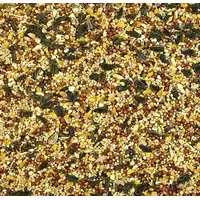 Photo of Kaytee Wild Bird Food Basic Blend With Grains And Black Oil Sunflower Seed