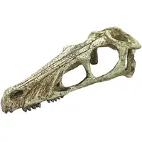 Photo of Komodo Raptor Skull Terrarium Decoration