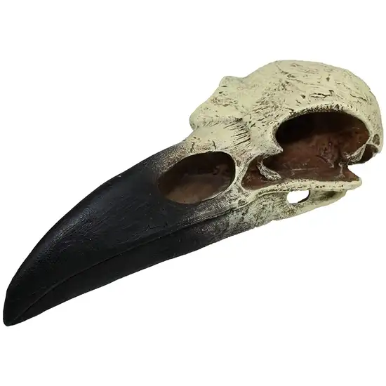 Komodo Raven Skull Terrarium Decoration Photo 1