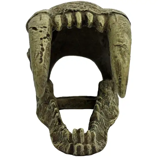 Komodo Saber Tooth Skull Terrarium Decoration Photo 2