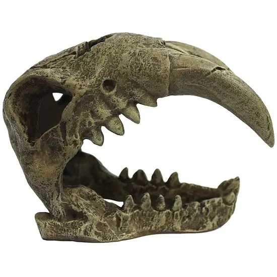 Komodo Saber Tooth Skull Terrarium Decoration Photo 3