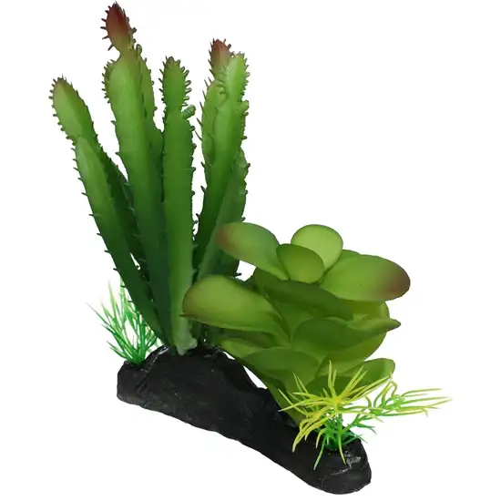 Komodo Succulent and Cactus Habitat Ornament Photo 2