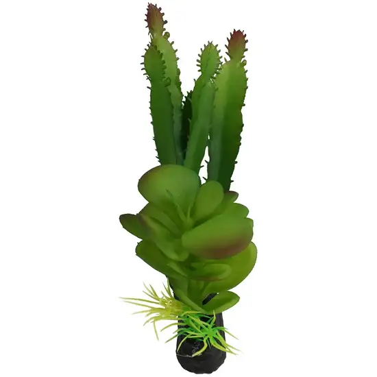 Komodo Succulent and Cactus Habitat Ornament Photo 3