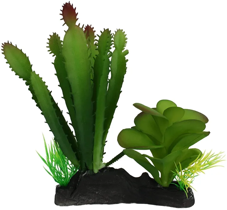 Komodo Succulent and Cactus Habitat Ornament Photo 1